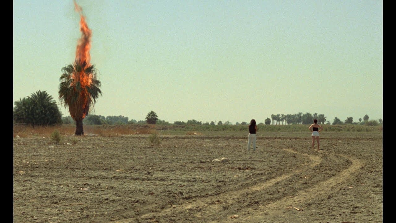 Trailer