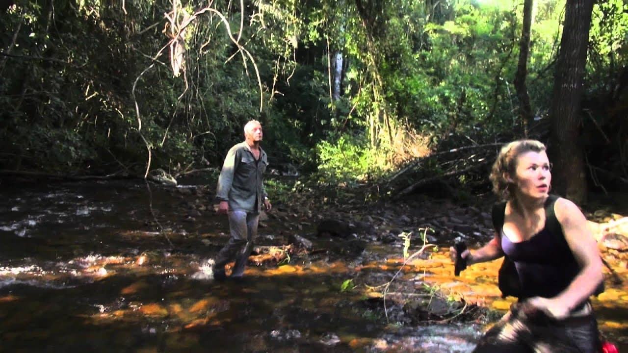 Trailer